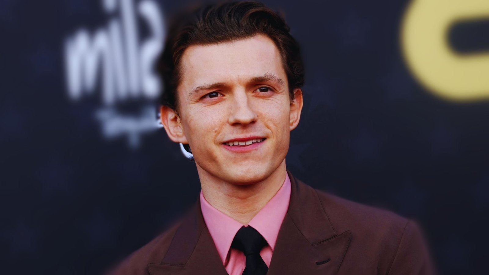 Tom Holland was admitted to the hospital after a stunt accident on the Spider-Man: Spider-Verse set