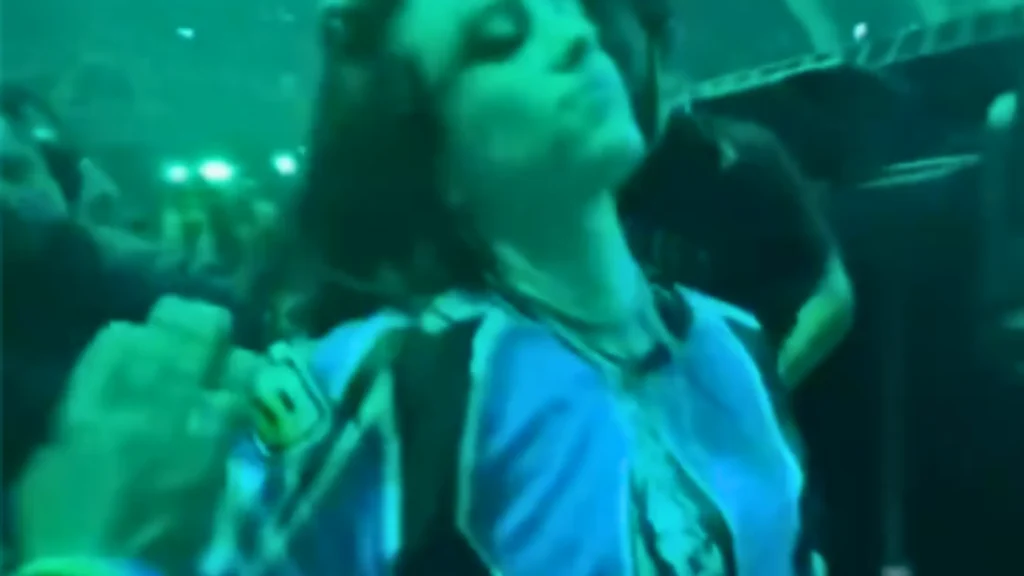 Billie Eilish Pulled Into Crowd During Miami Show — Watch How She Handled It Like a Boss